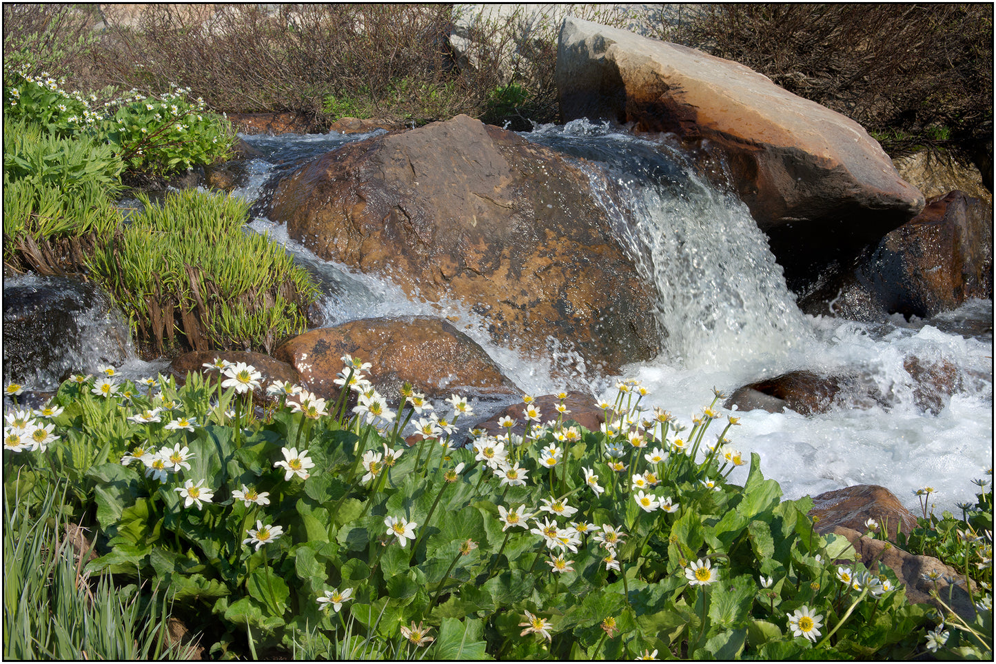 Greeting Card - "Libby Creek Beginning"