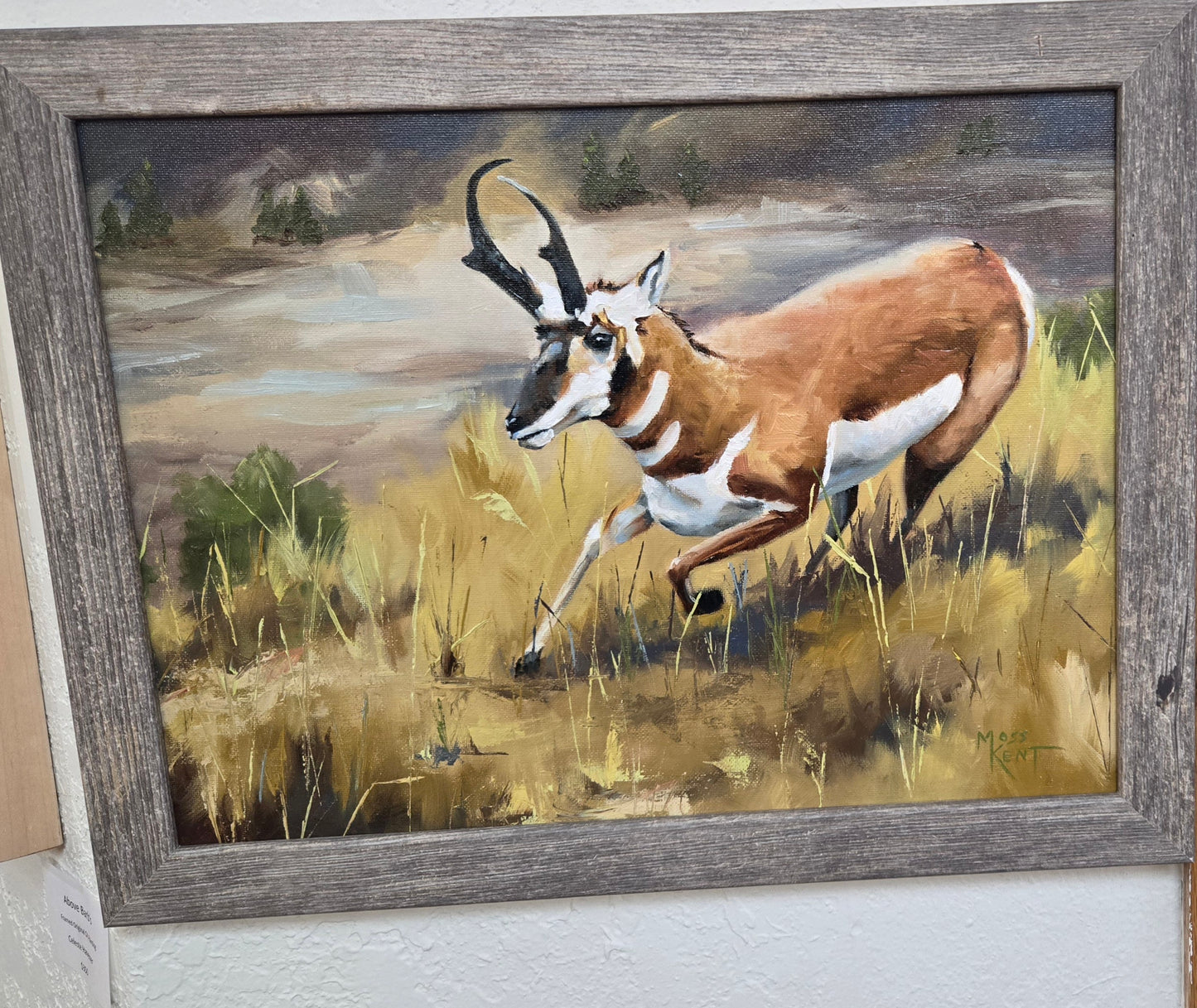 Original Framed Oil Painting- "Running Free" Pronghorn