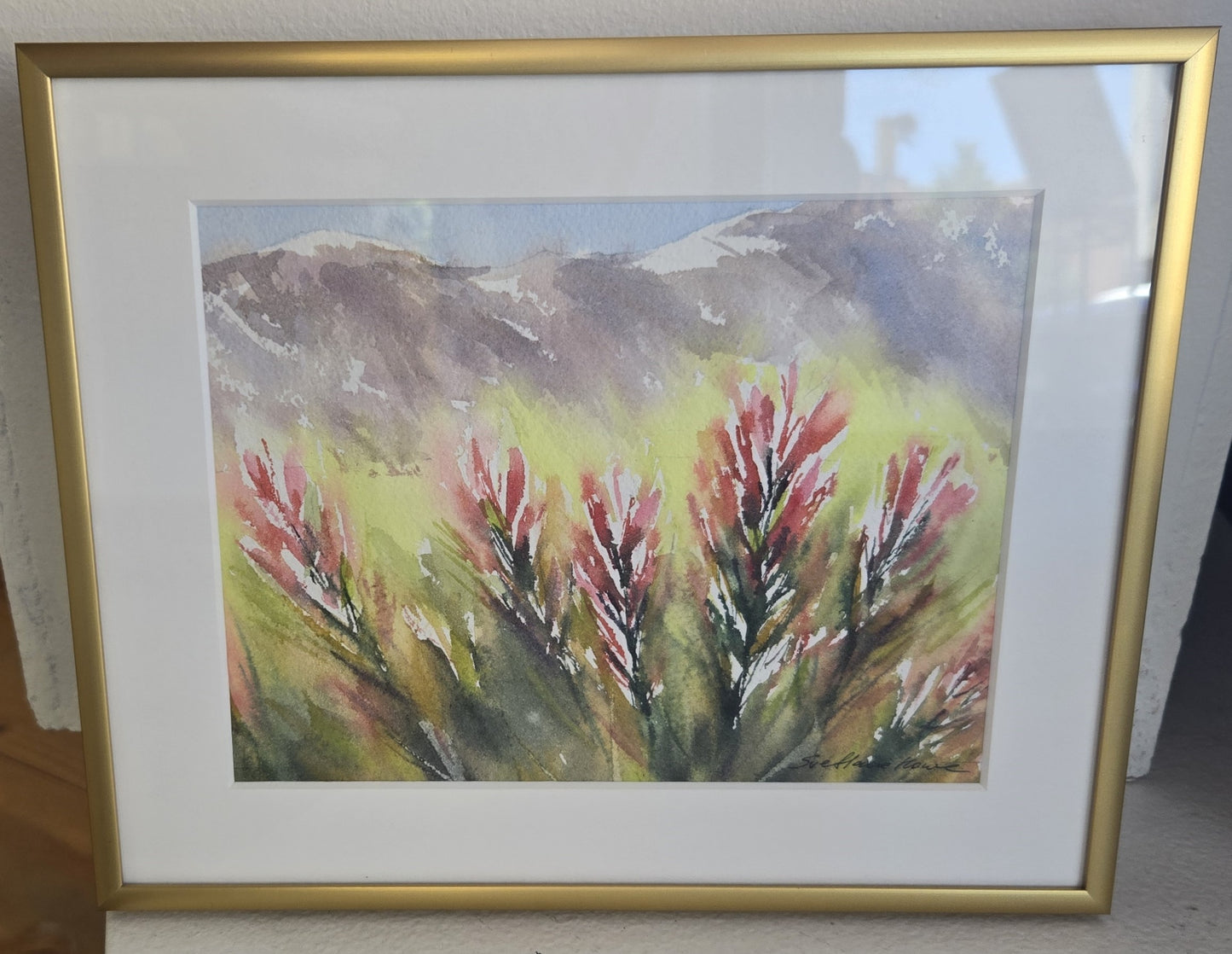 Framed Original Watercolor- "Blooming Season" Indian Paintbrush