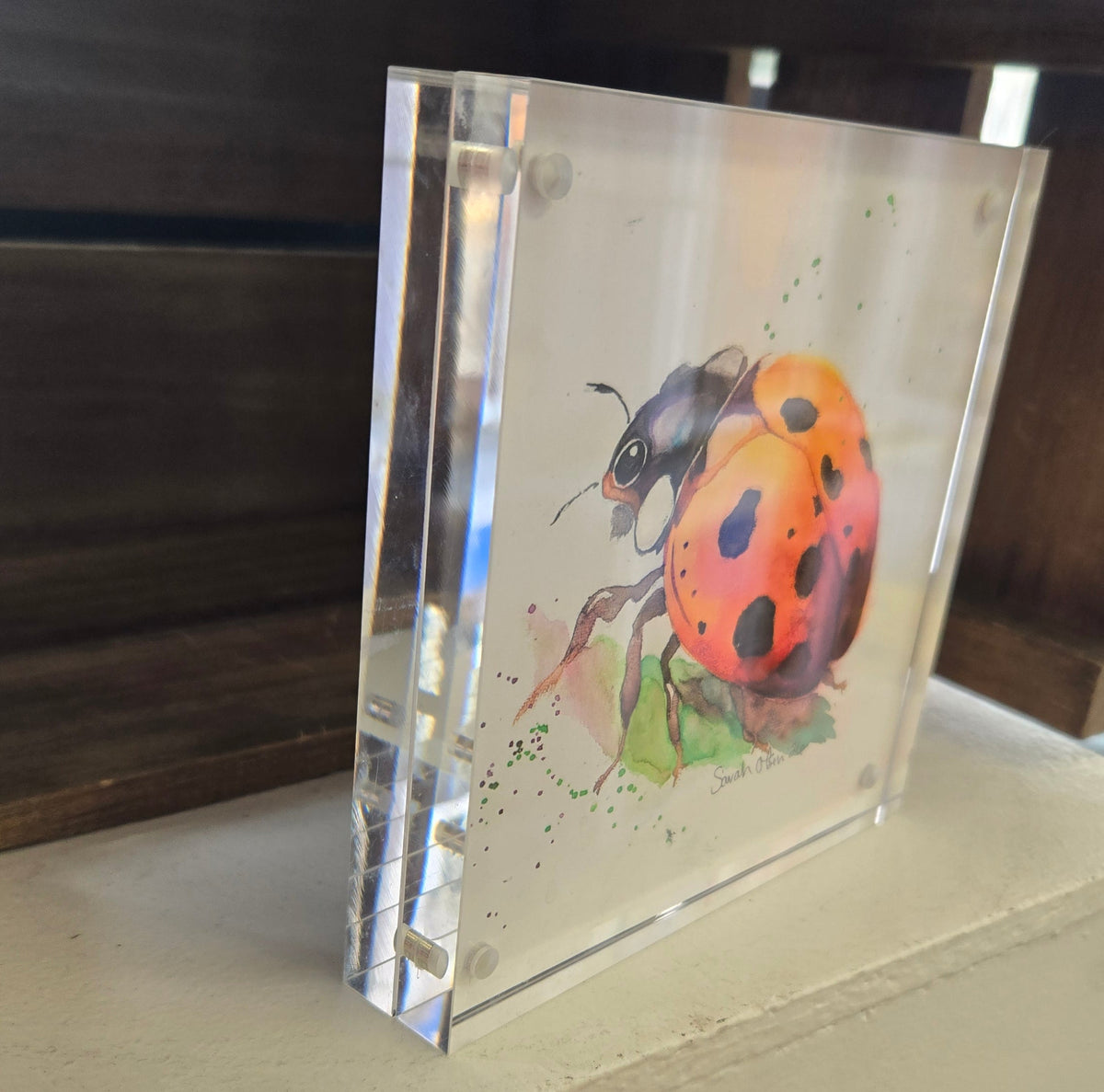 Watercolor Print- "Ladybug"