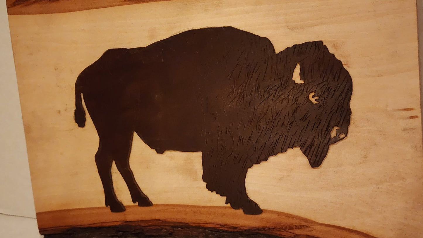 Wall Plaque- Bison Buffalo Board