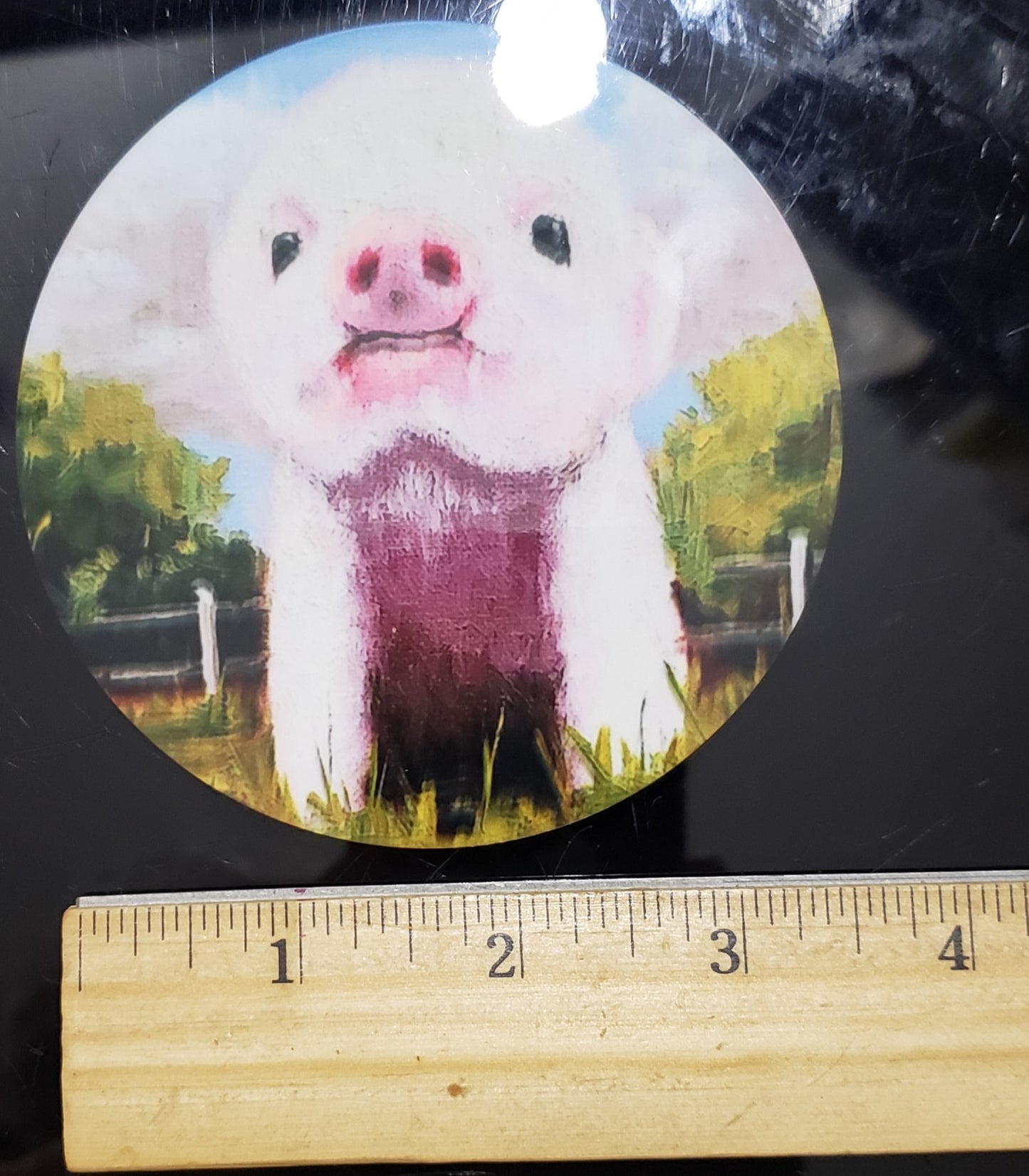 " Piggy " Round Coaster Oil Painting Artist: Moss Kent Little pink piggy up close Trees and fence in the background 3.75" across