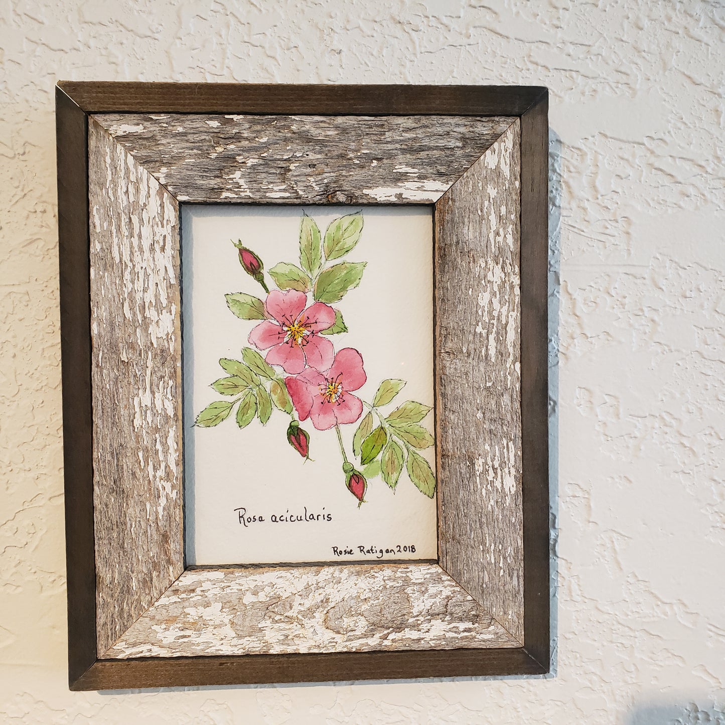 "Rosa" Wyoming Wild Roses Original Watercolor Painting