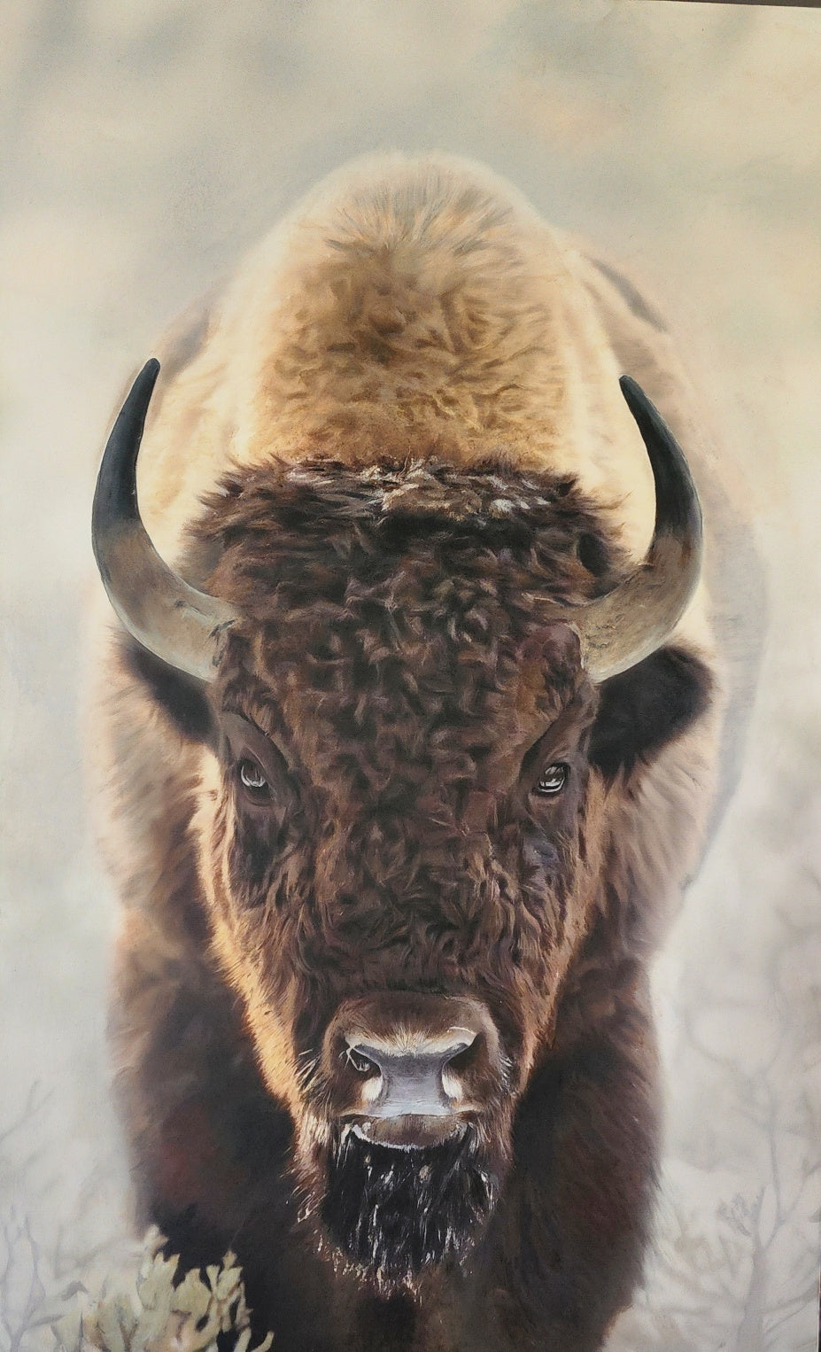 Art Print -Bison "Morning Thunder"