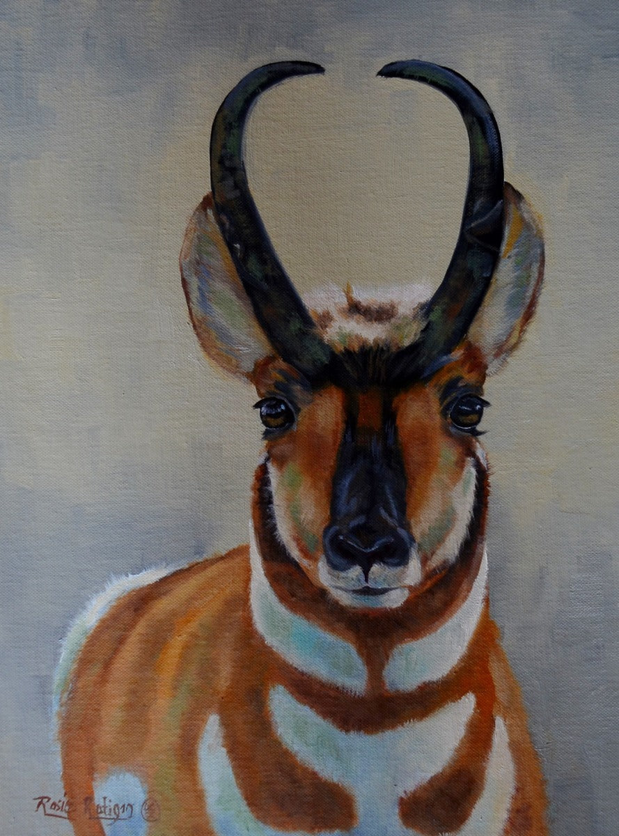 Card- "Wyoming Strong" Pronghorn