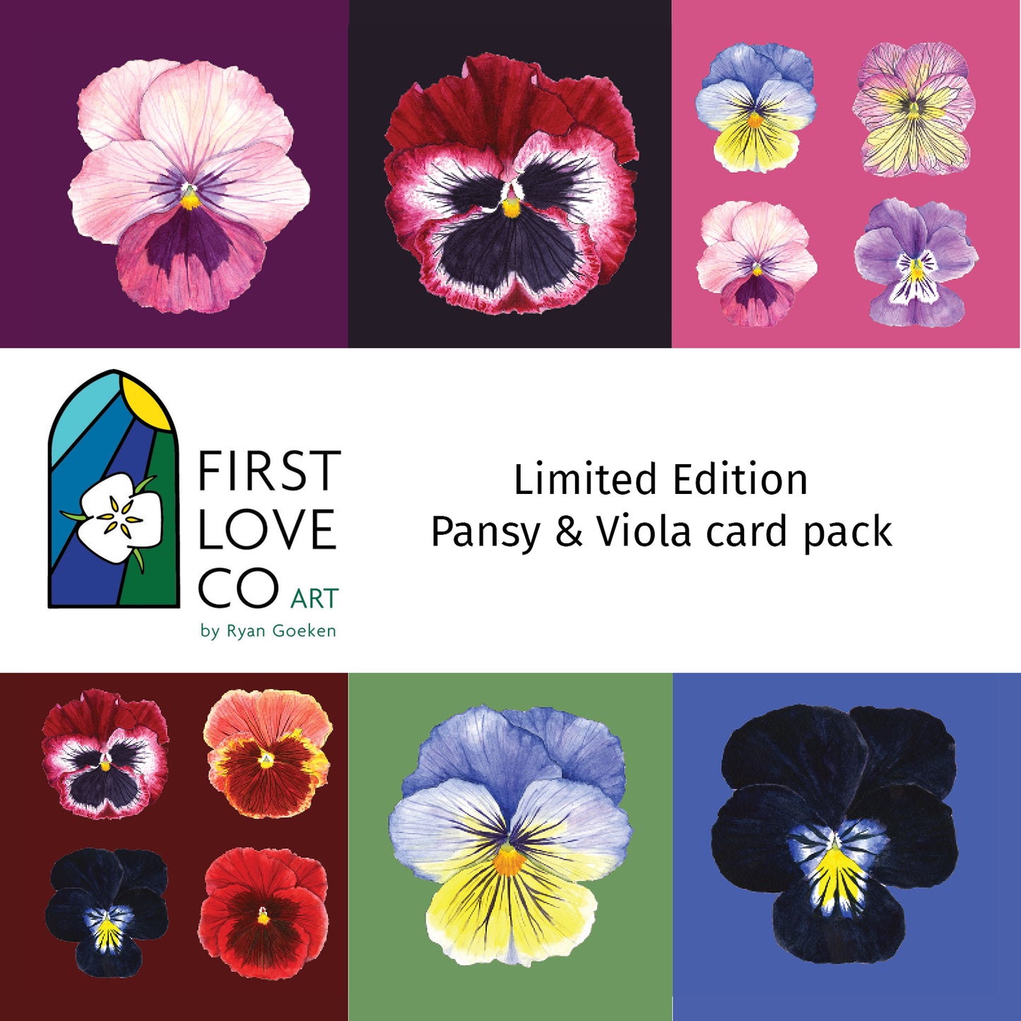 " Twelve Pansies and Violas " Set of 6 Cards