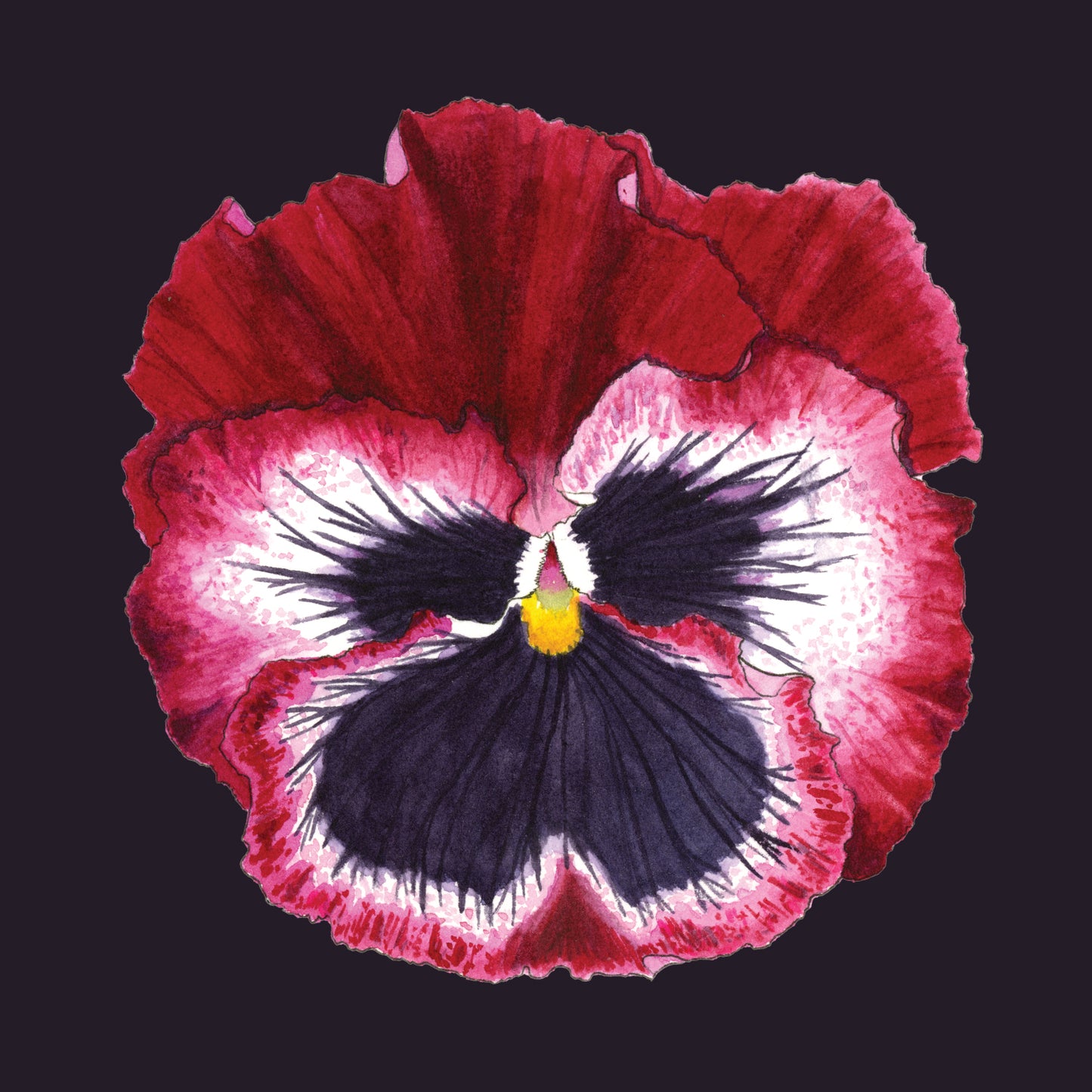 " Twelve Pansies and Violas " Set of 6 Cards