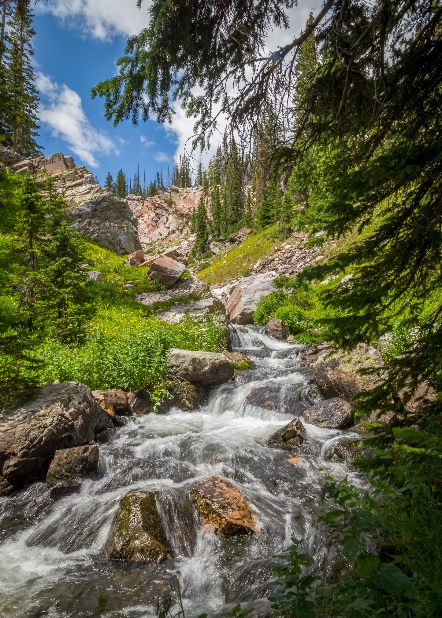 Photograph Print - "French Creek"