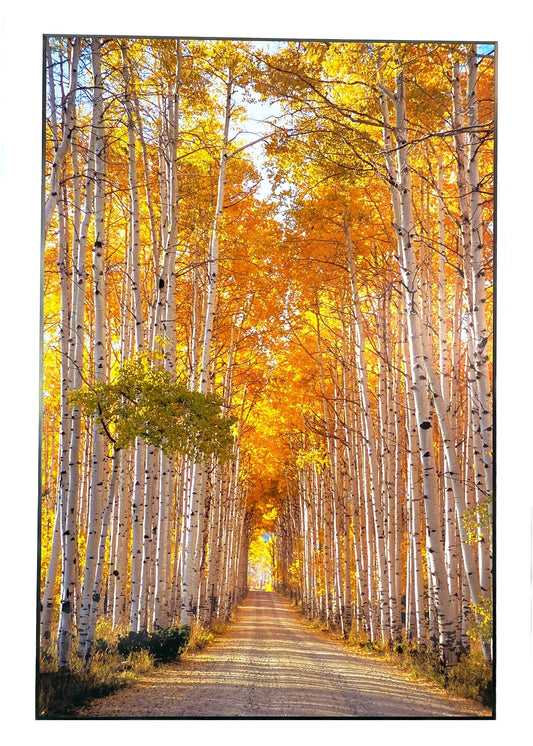 FloaPlaq 16 1/4" long x 23 7/8" high Printed with pigment ink on metallic paper Mounted on acid free wood Protected by a UV and moisture resistant durable satin finish French cleat hanging system is included