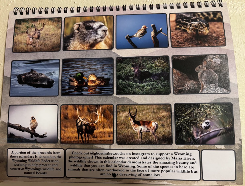 2027 Calendar- Wyoming Wildlife