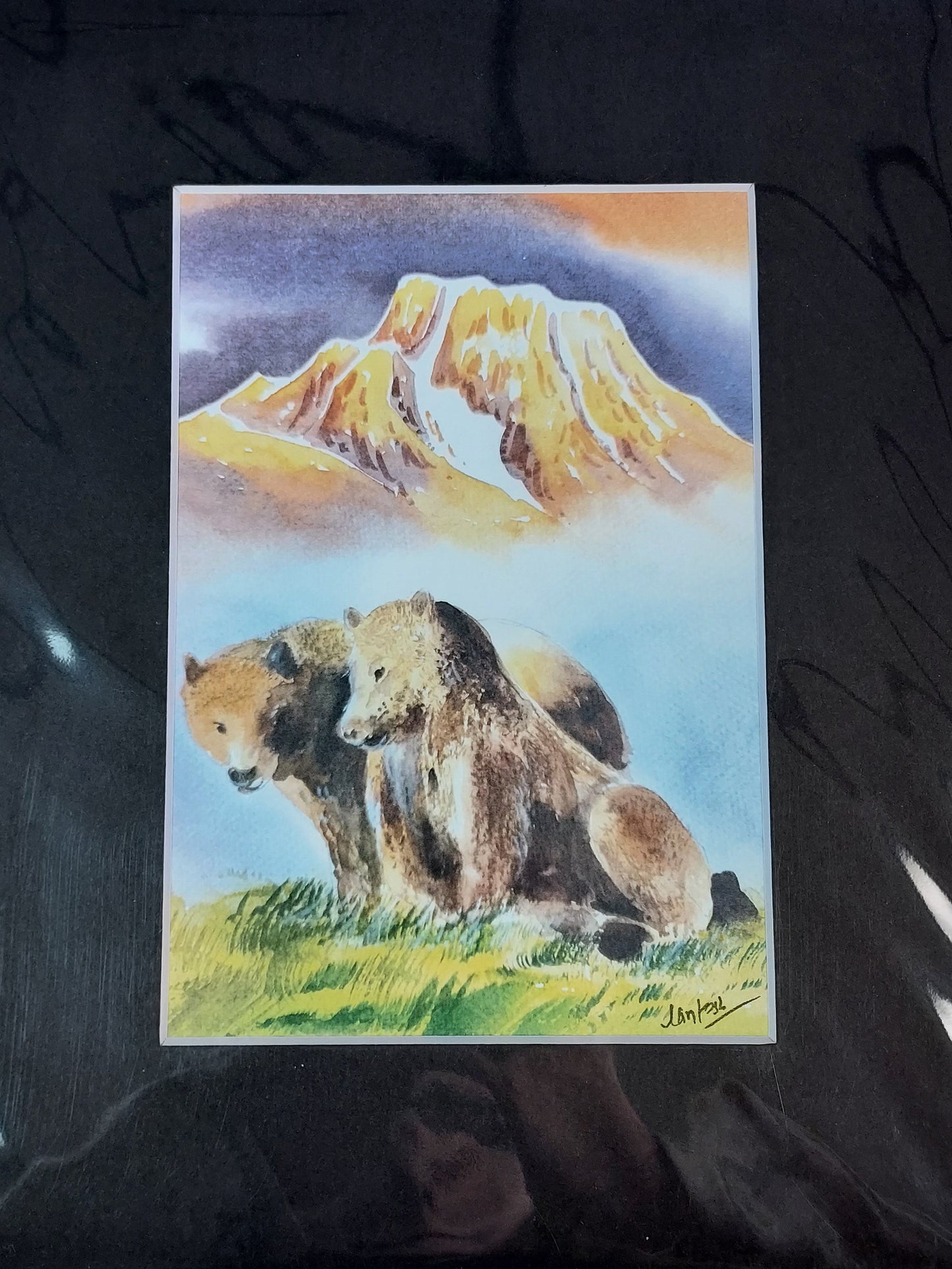 Wildlife Themed - Assorted 8x10 Matted Prints