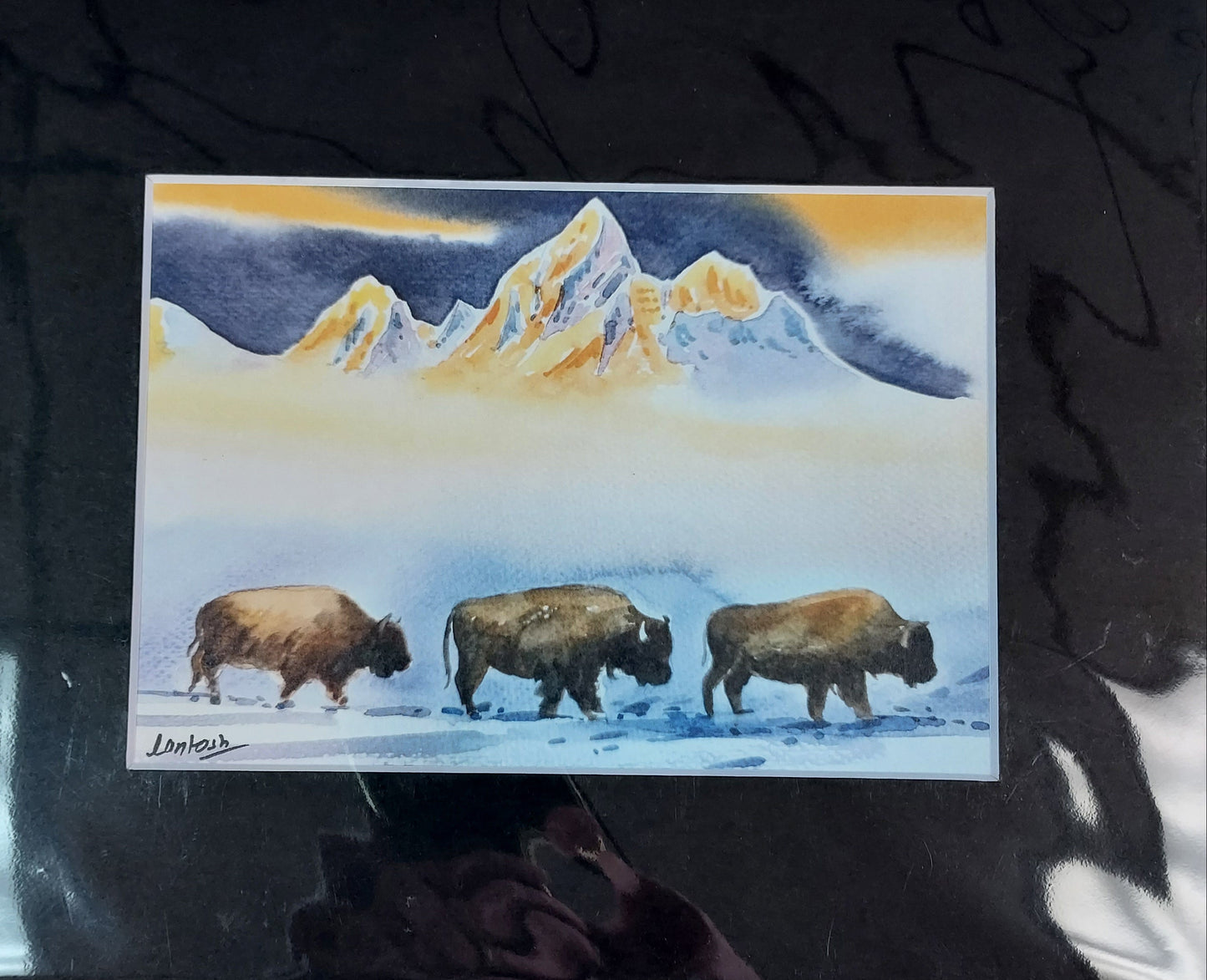 Wildlife Themed - Assorted 8x10 Matted Prints