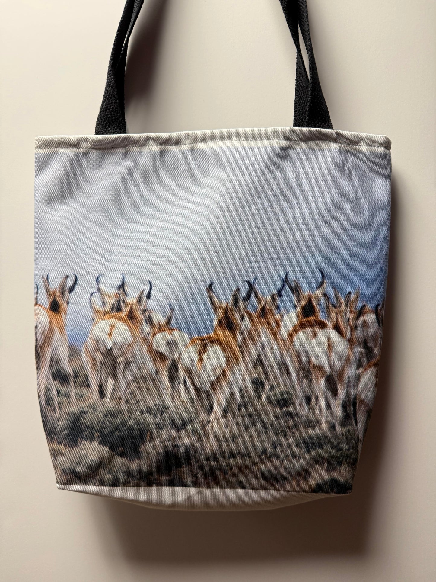 Photograph - " Butt Seriously " Pronghorn Antelope