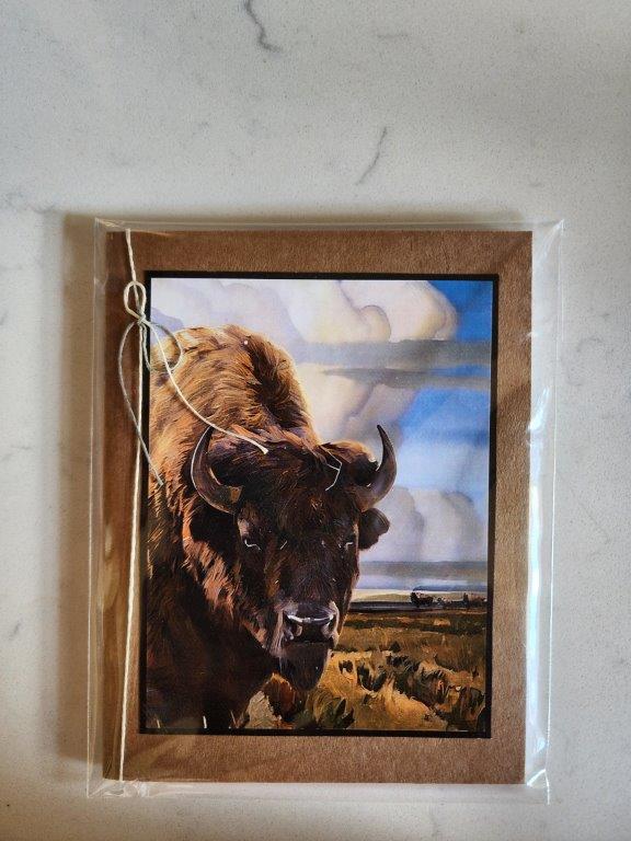 Pocket Notebook - Clouds and Buffalo