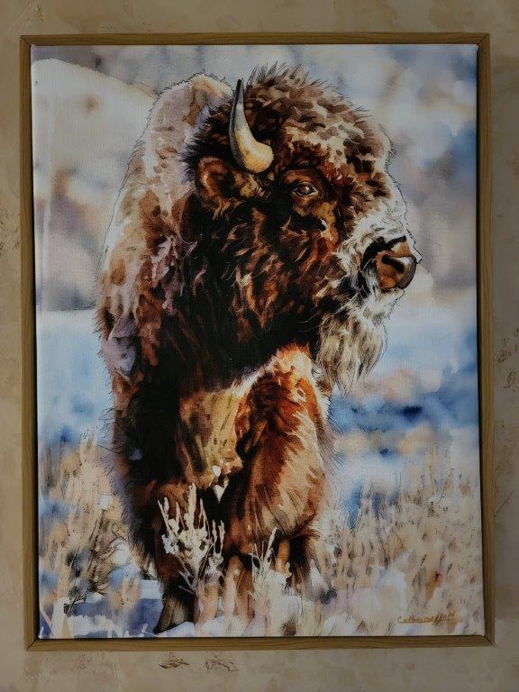 Framed Canvas Print - Bison