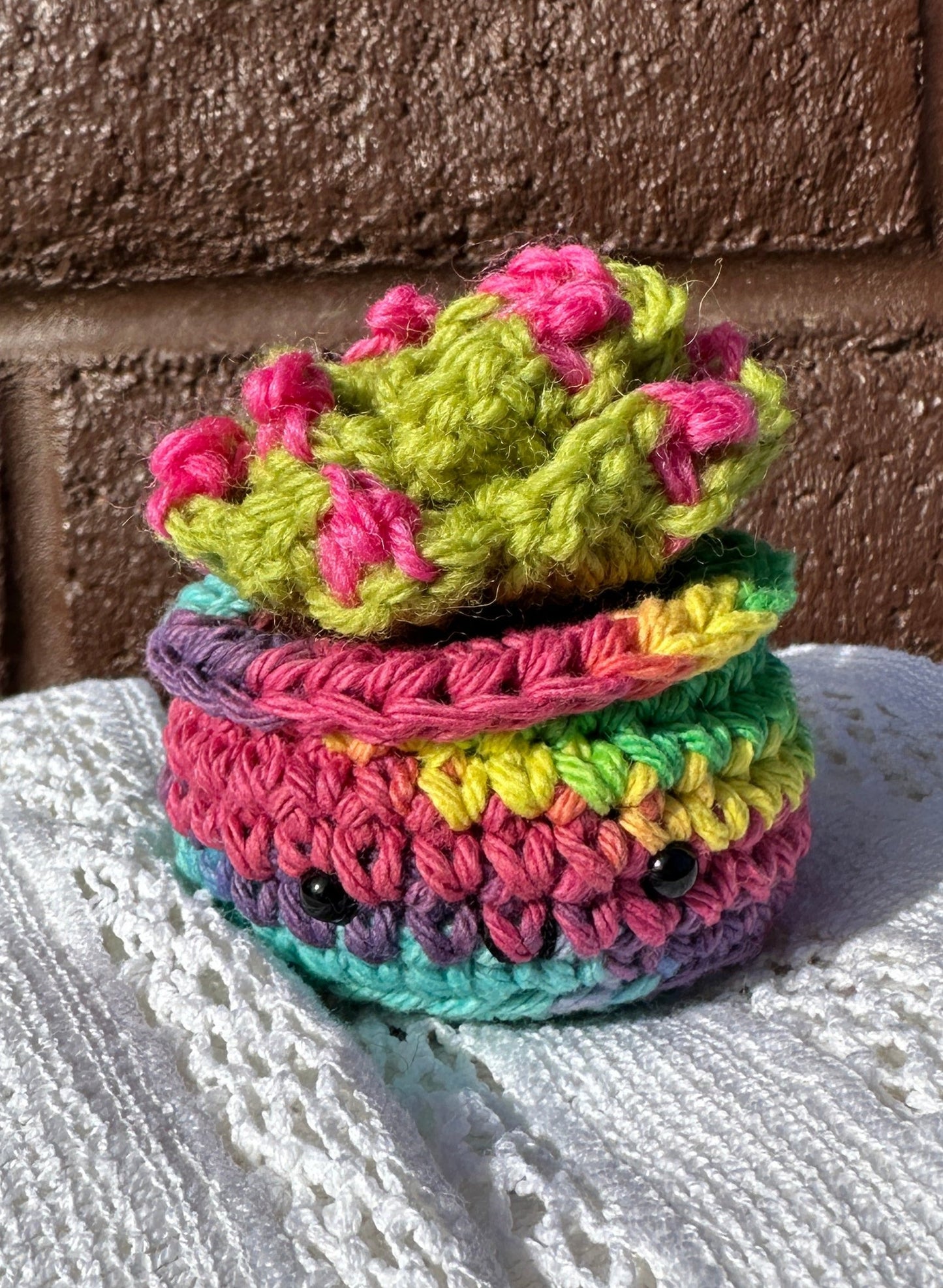 Crochet Cactus Succulent in Rainbow Pot with Lime Color