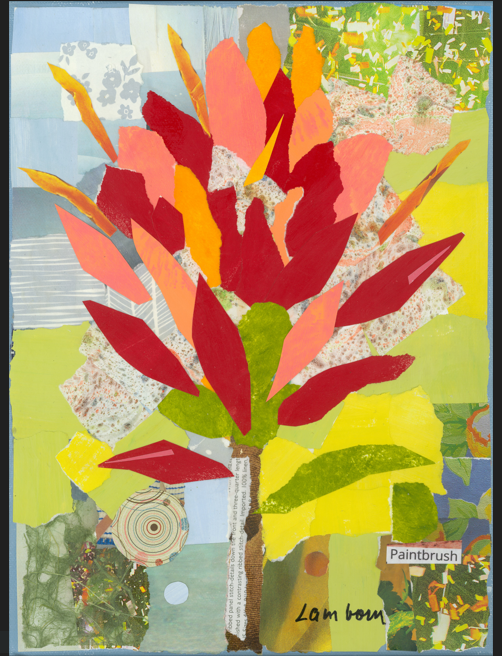 Greeting Card- Collage Prints