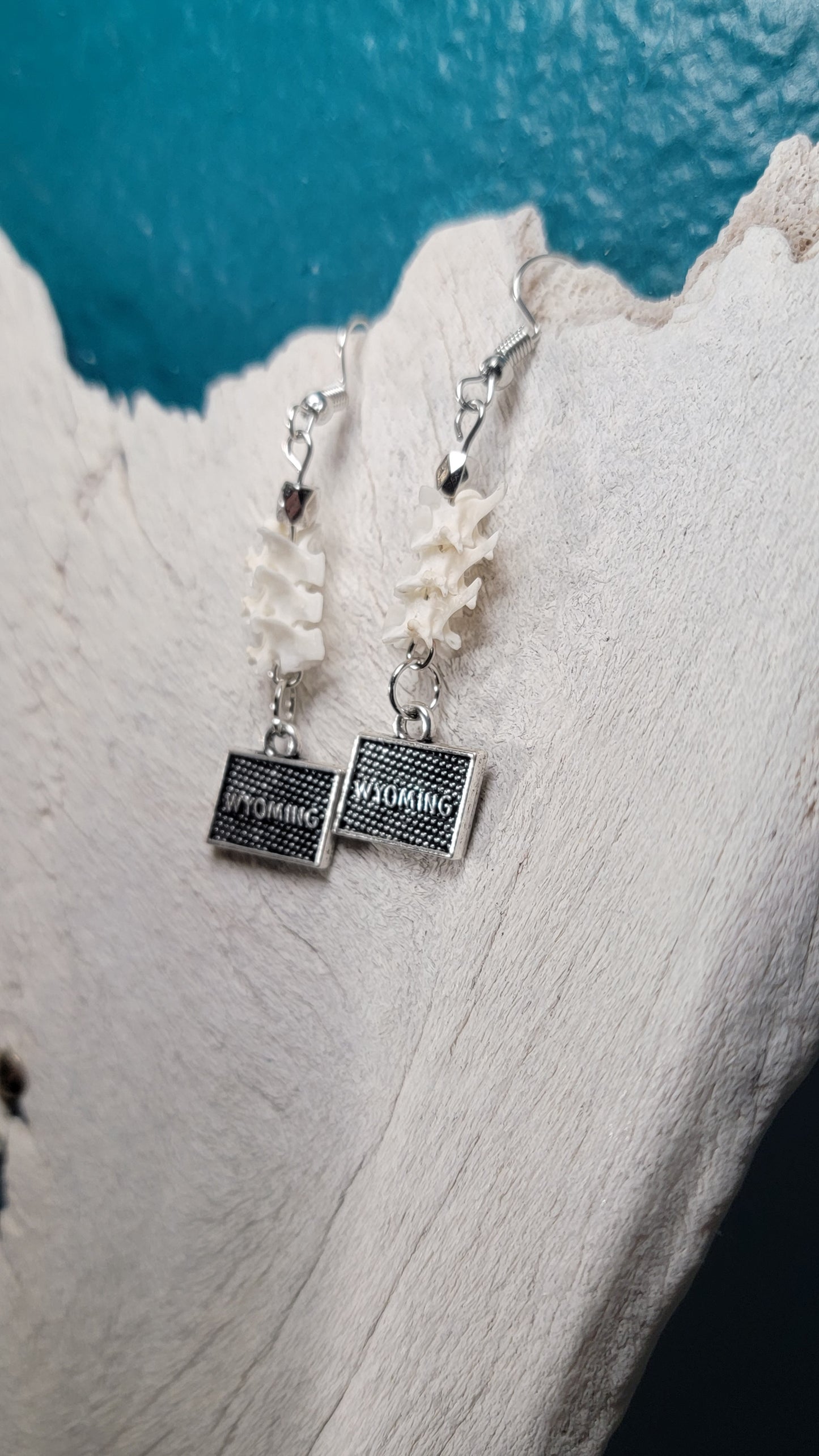 Rattlesnake Vertebrae and Silver Wyoming Charm