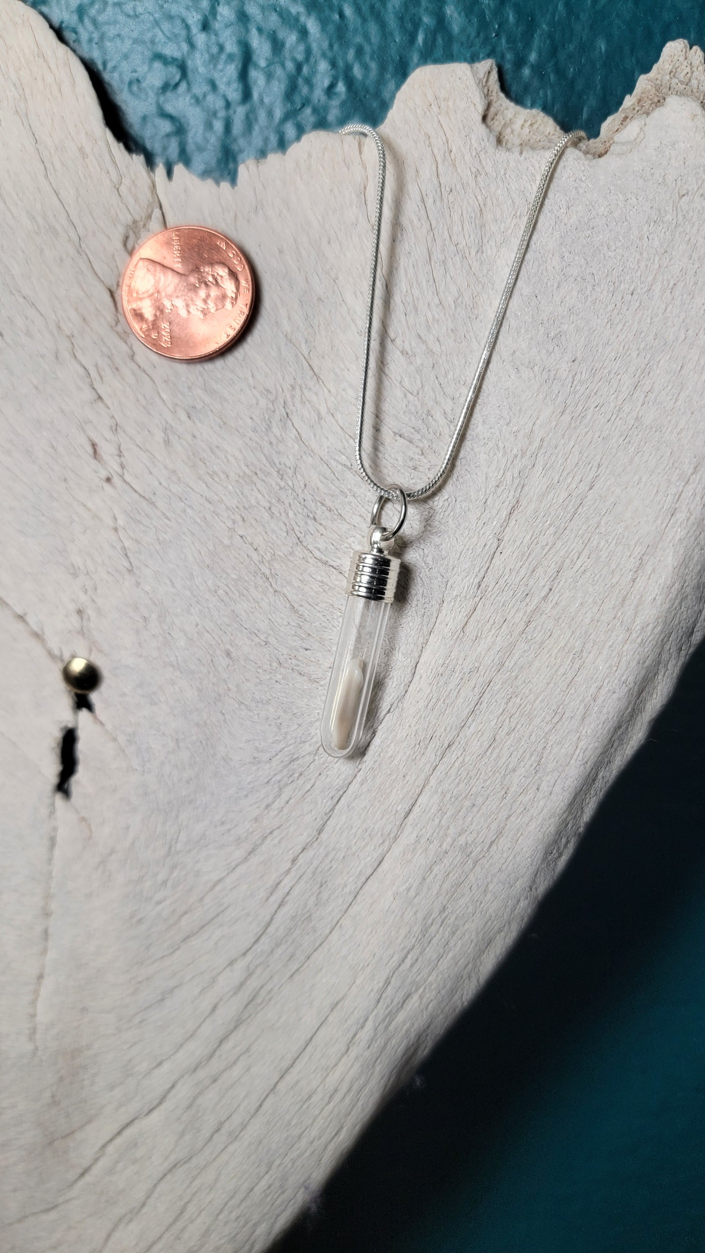 Silver Simplistic Opossum Fang Vial Necklace