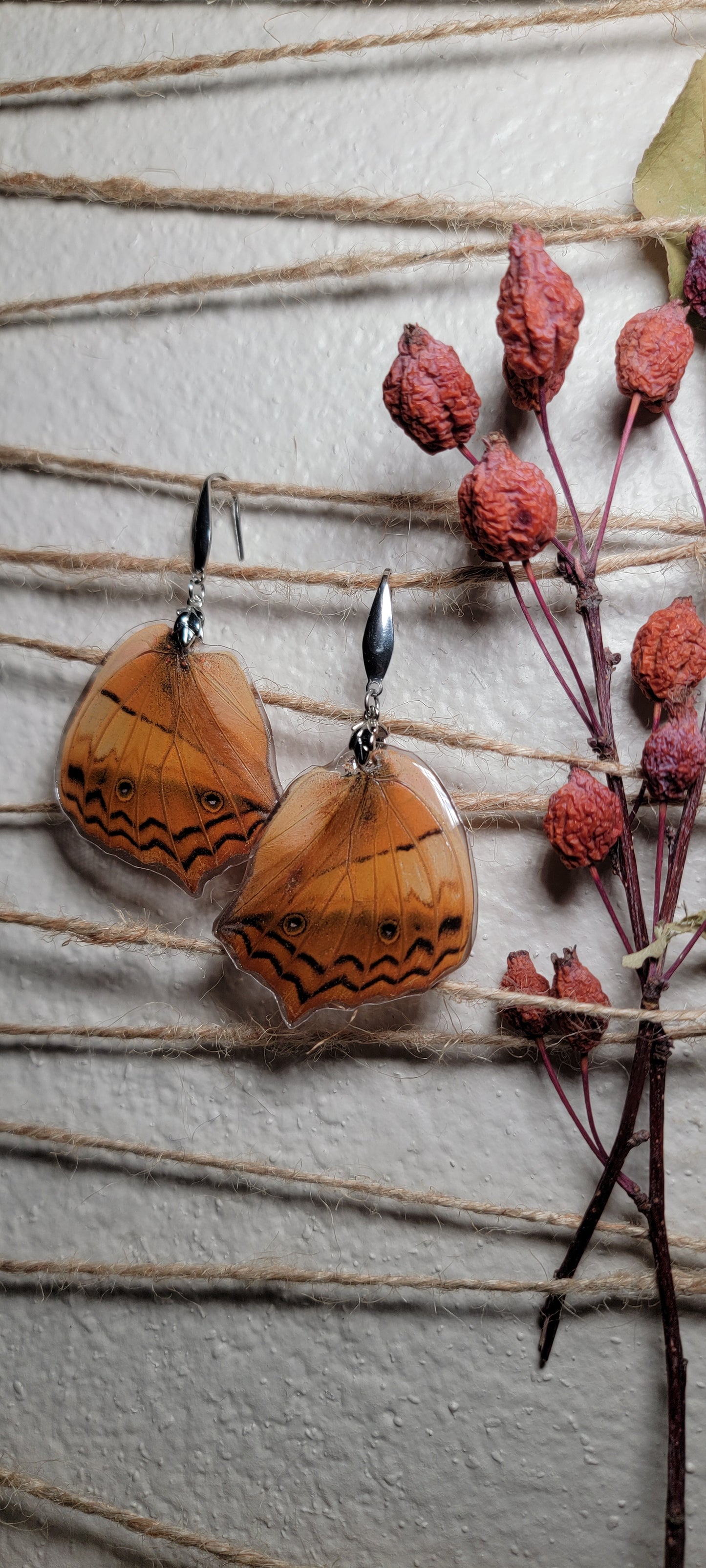 Earrings - Butterfly Wings- Charaxes Butterfly