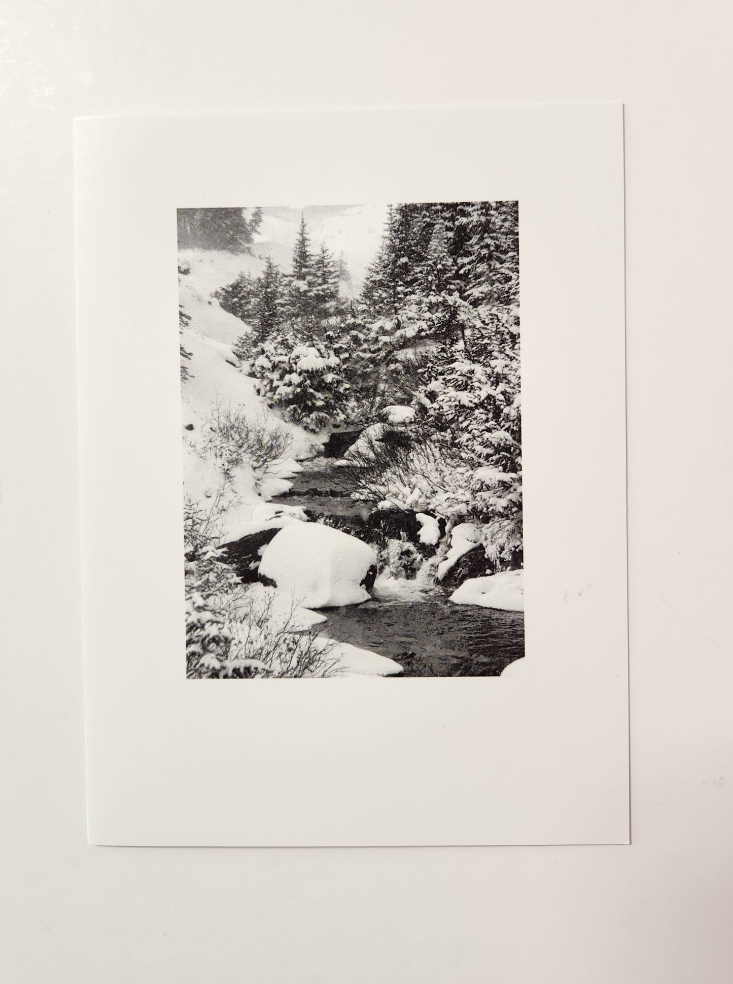 First Snowfall Photo Blank Card Artist: Crystal Lawrence Original photograph of black and white of a stream in the snow and dead of winter Blank inside Envelope included 4 pack Cards 4" wide x 6" tall x 1/16 deep