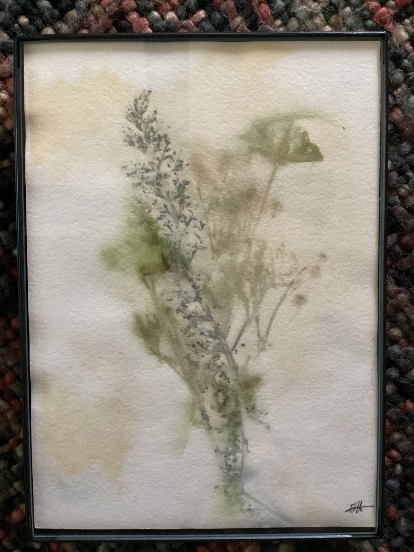 Wyoming Wildflower 5 x 7 Eco Print #2