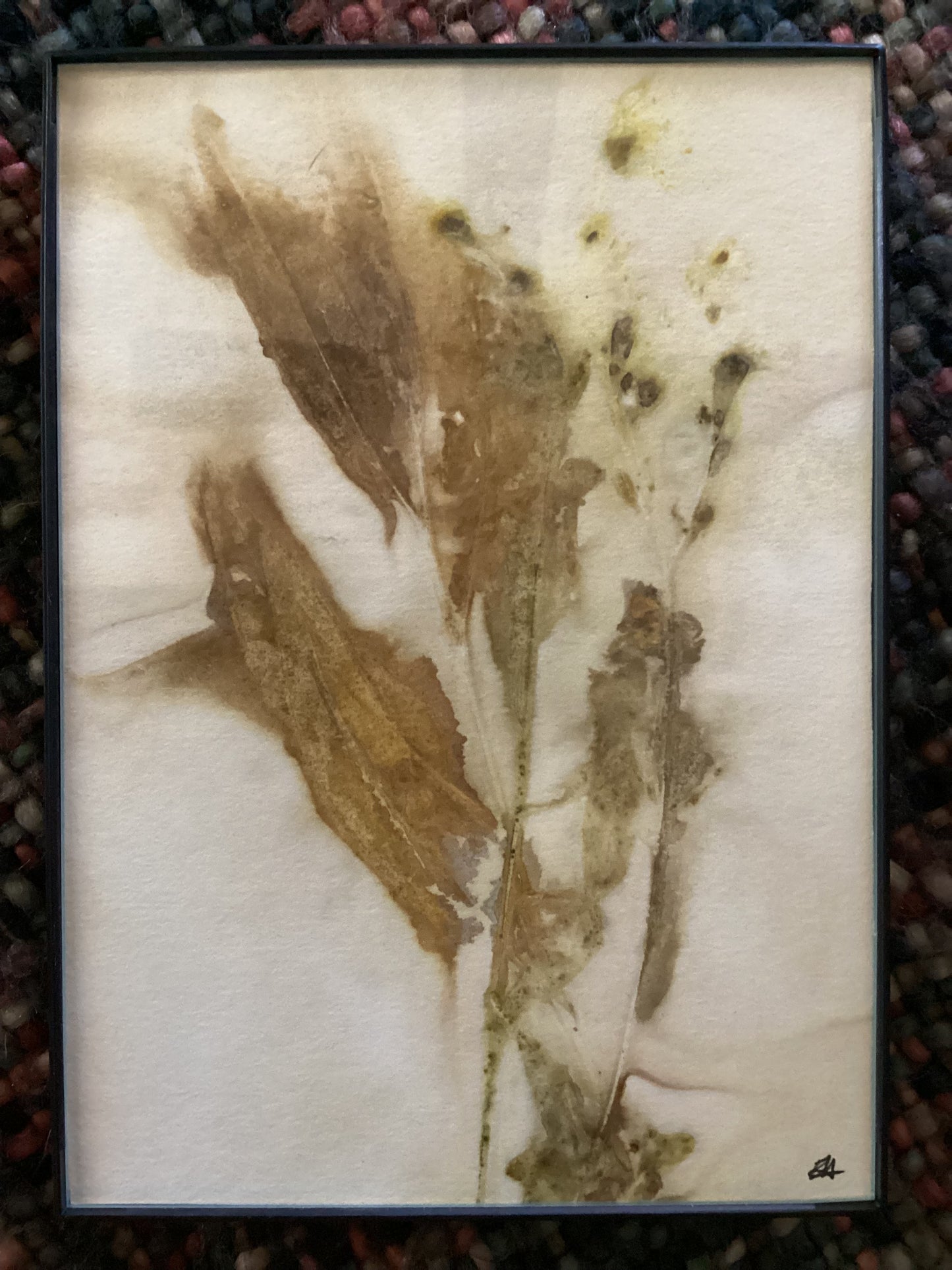 Wyoming Wildflower 5 x 7 Eco Print #11