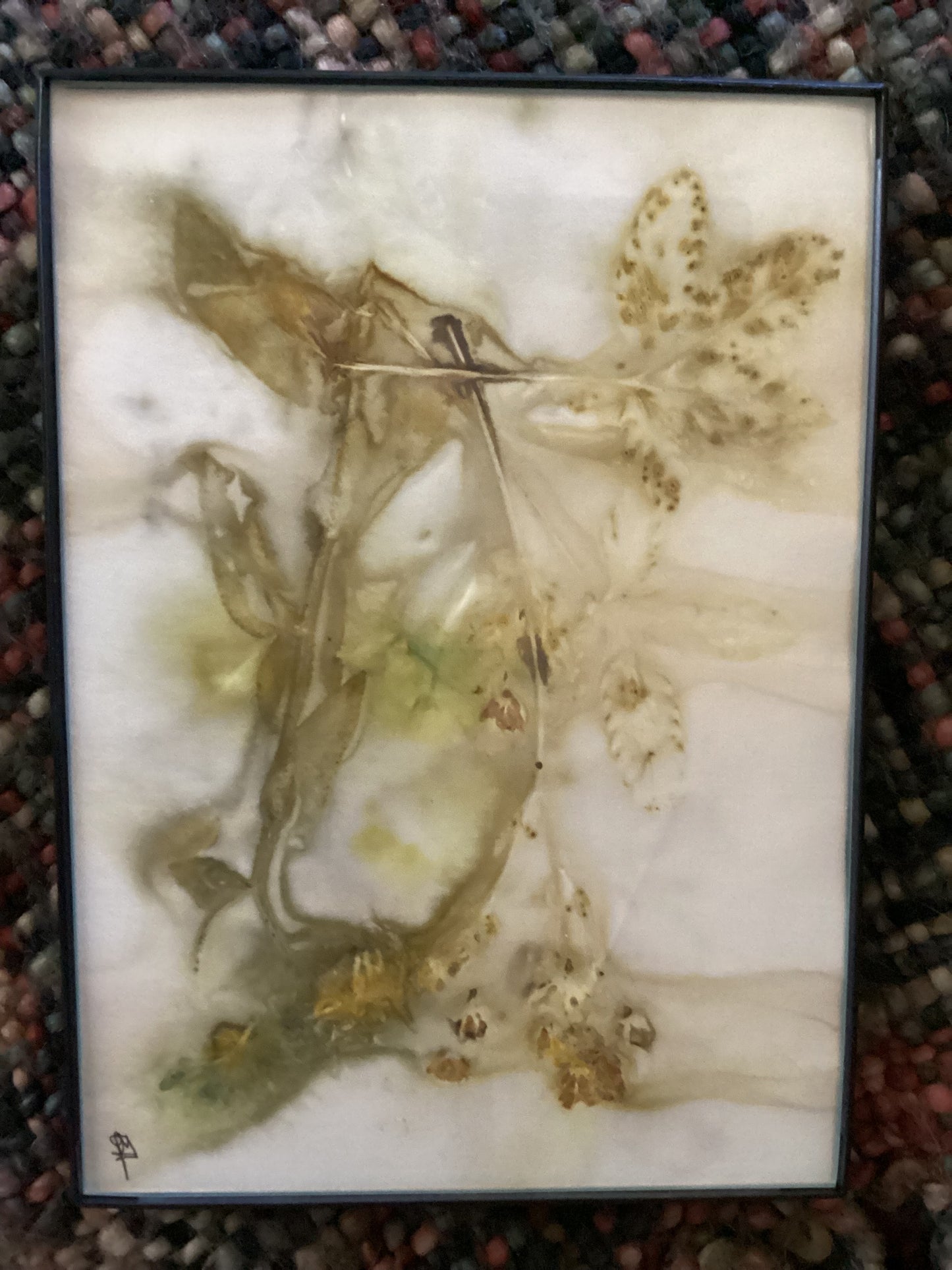 Wyoming Wildflower 5 x 7 Eco Print #13