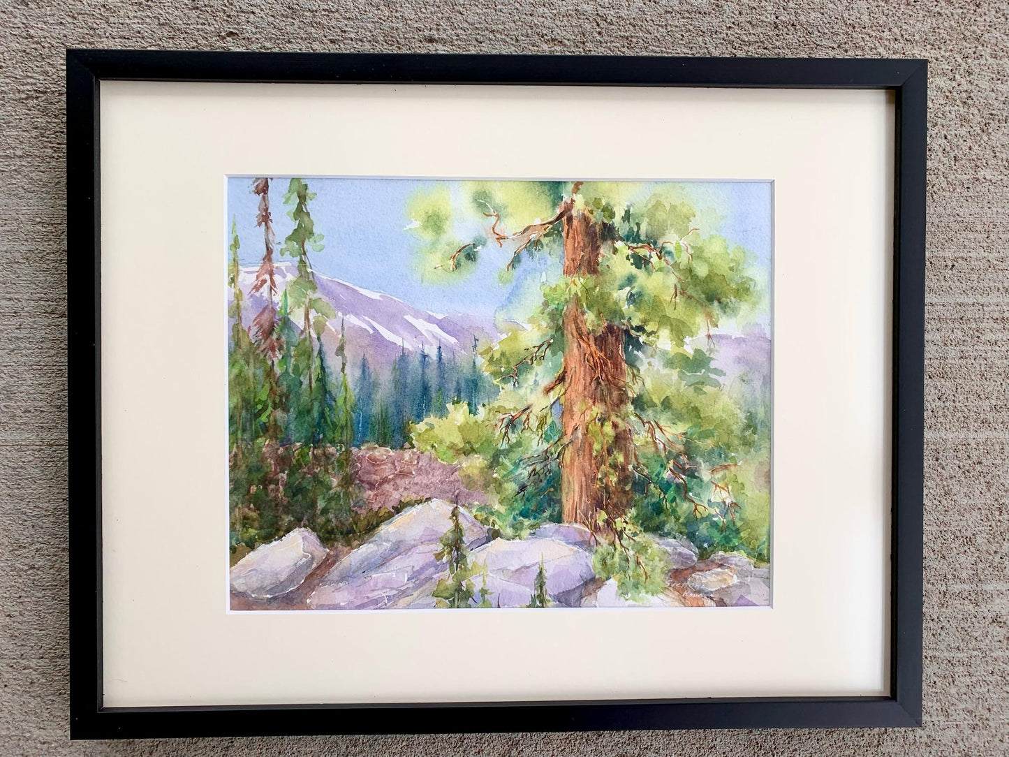 " French Creek Trail " Framed Original Watercolor Watercolor Artist: Svetlana Howe Original watercolor painting Pine tree along the French Creek Trail in the Snowy Range Mountains 14" long x 11" high matted in cream colored matting 14 1/2" long x 11 1/2" high framed in a slim black frame Eye bolt and wire on the back of the frame for hanging