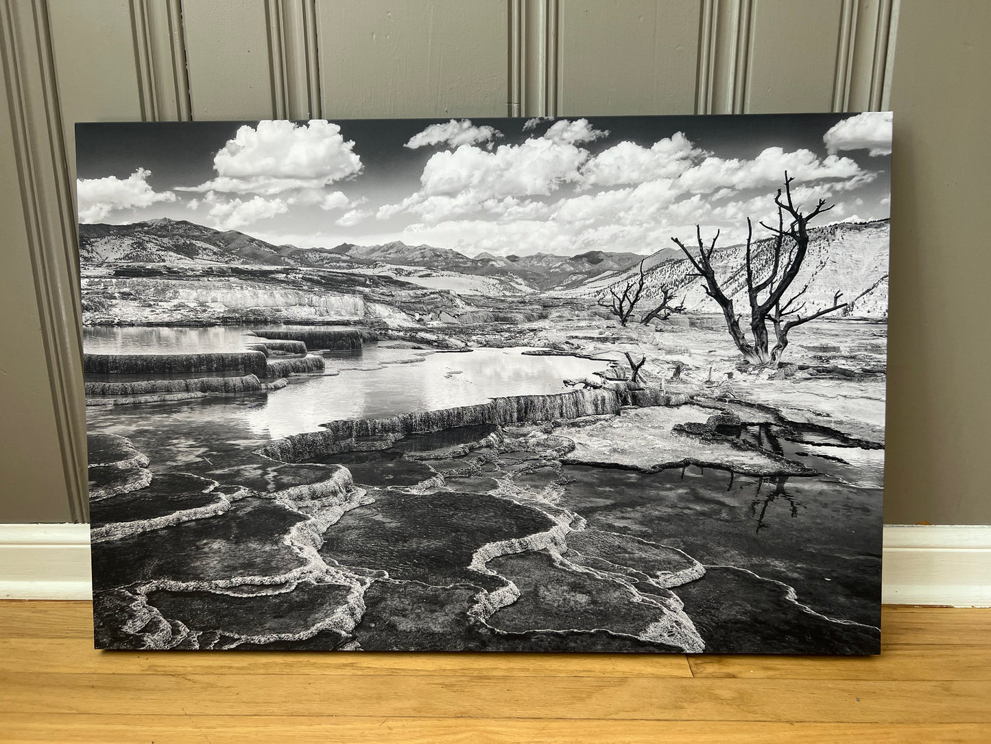 " Mammoth Hot Springs " Black and White Large Canvas Print