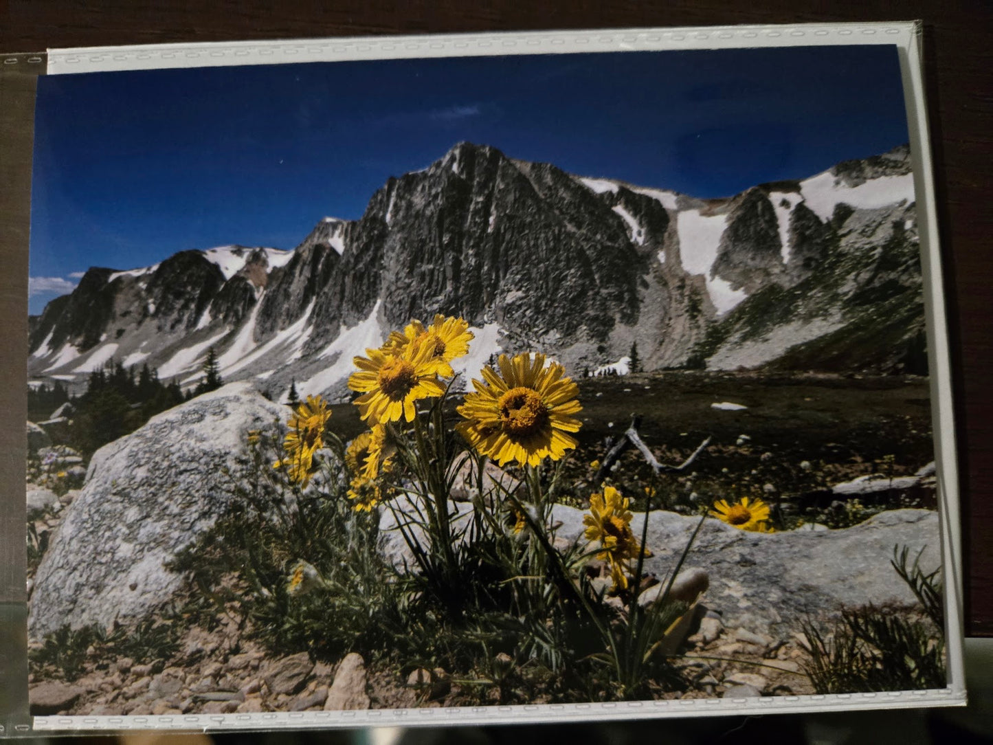 Greeting Card- "Love This View" Sunflowers and Mountains