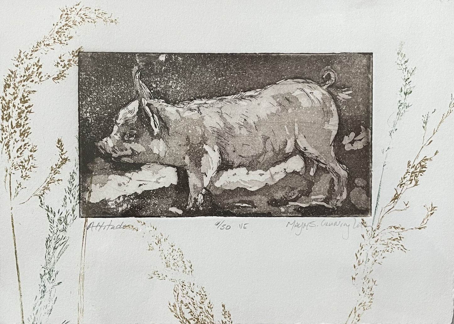 " Attitude " Pig Framed Mixed Media Intaglio Etching