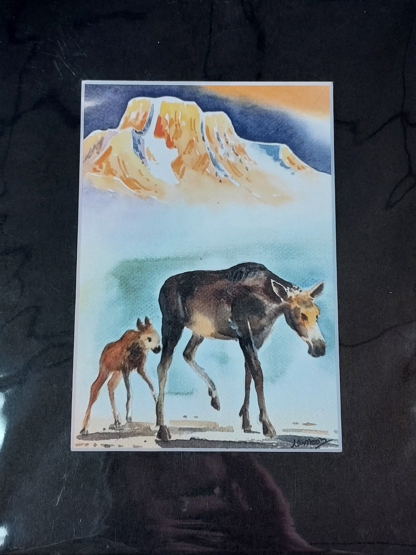 Wildlife Themed - Assorted 8x10 Matted Prints