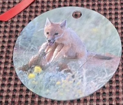 Ornament- "Play Time" Fox