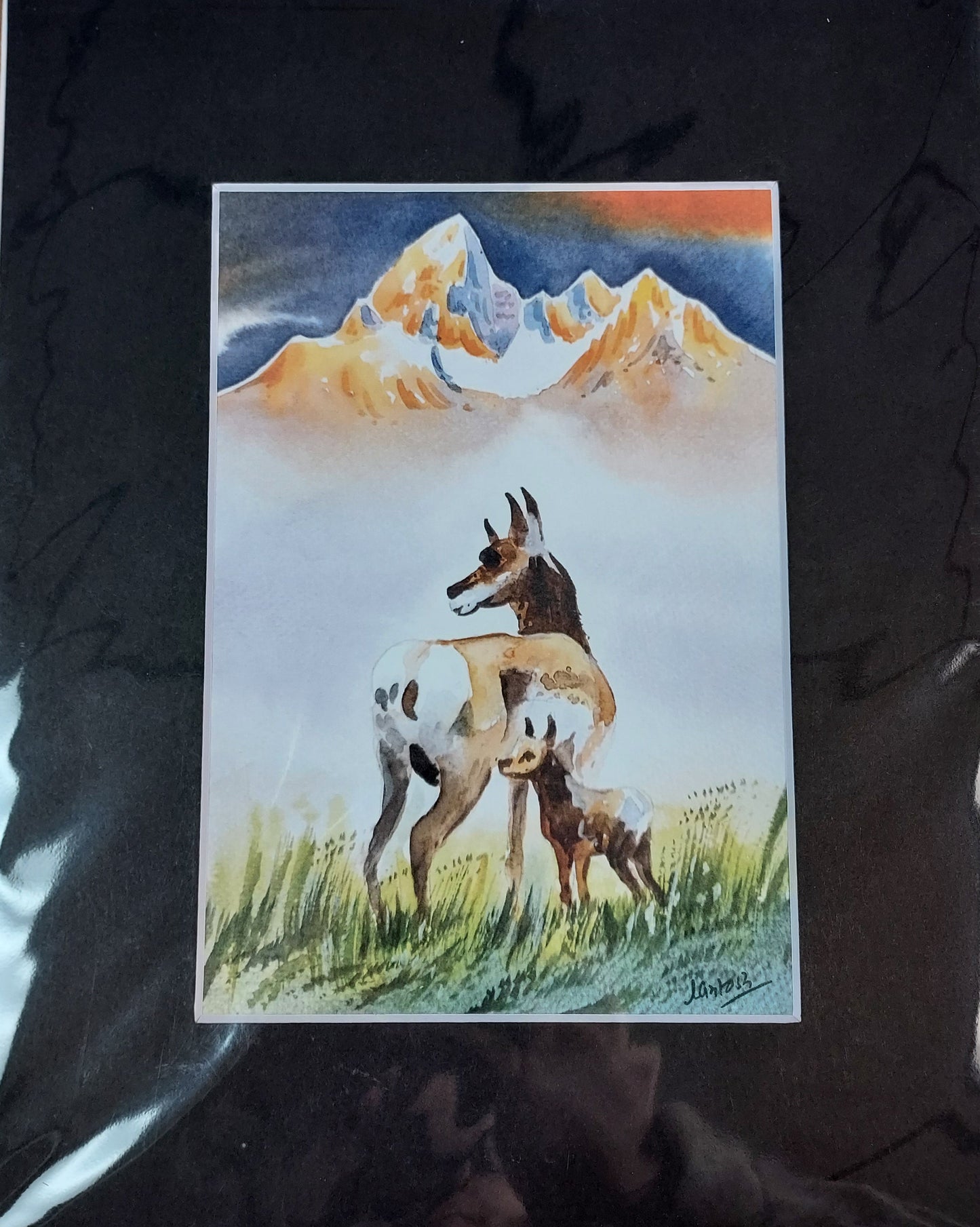 Wildlife Themed - Assorted 8x10 Matted Prints