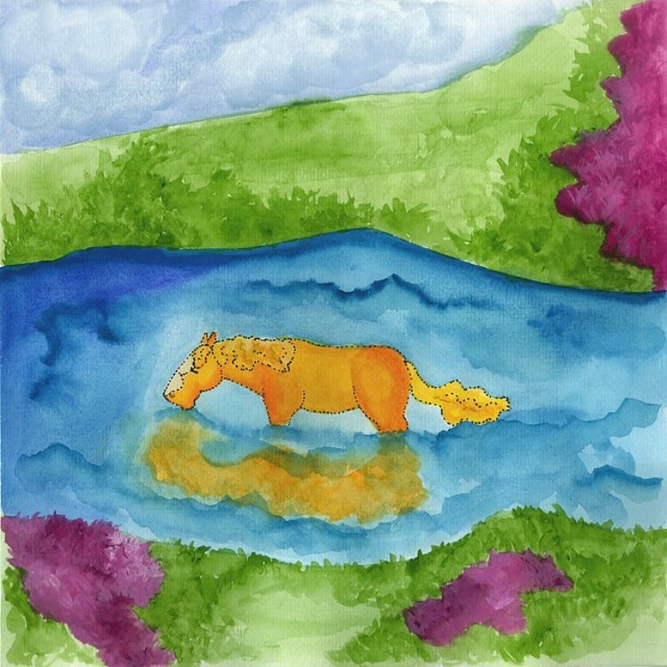 "Rusty & The River" Book Book #5 from Rusty The Ranch Horse series Author : Mary Fichtner with Illustrations by Roz Fichtner Children's book  9" Wide x 9" Tall  Hardcover book  Based on the real life horse, Rusty, who was born near the mountains of Laramie Wyoming  Rusty teaches us how to live in the moment as we face the storms of life  Meet Rusty the Ranch Horse in this whimsical tale of a real horse and see life through his eyes