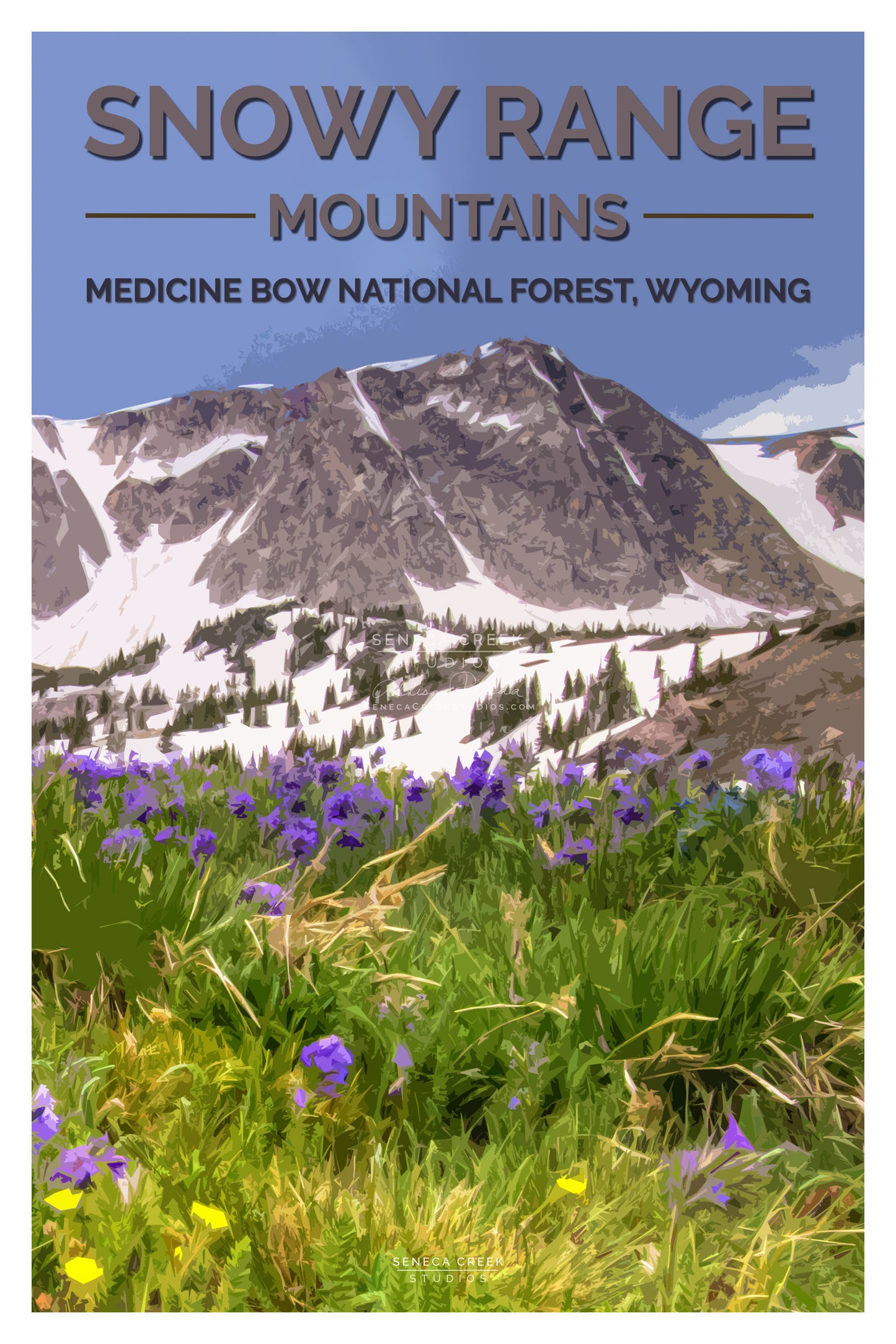 Snowy Range Flowers Poster