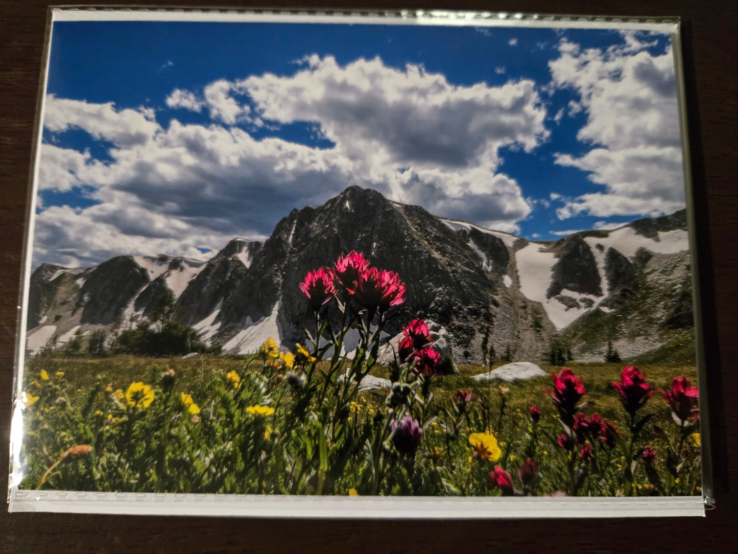 Greeting Card- "Snowy Range Splendor"