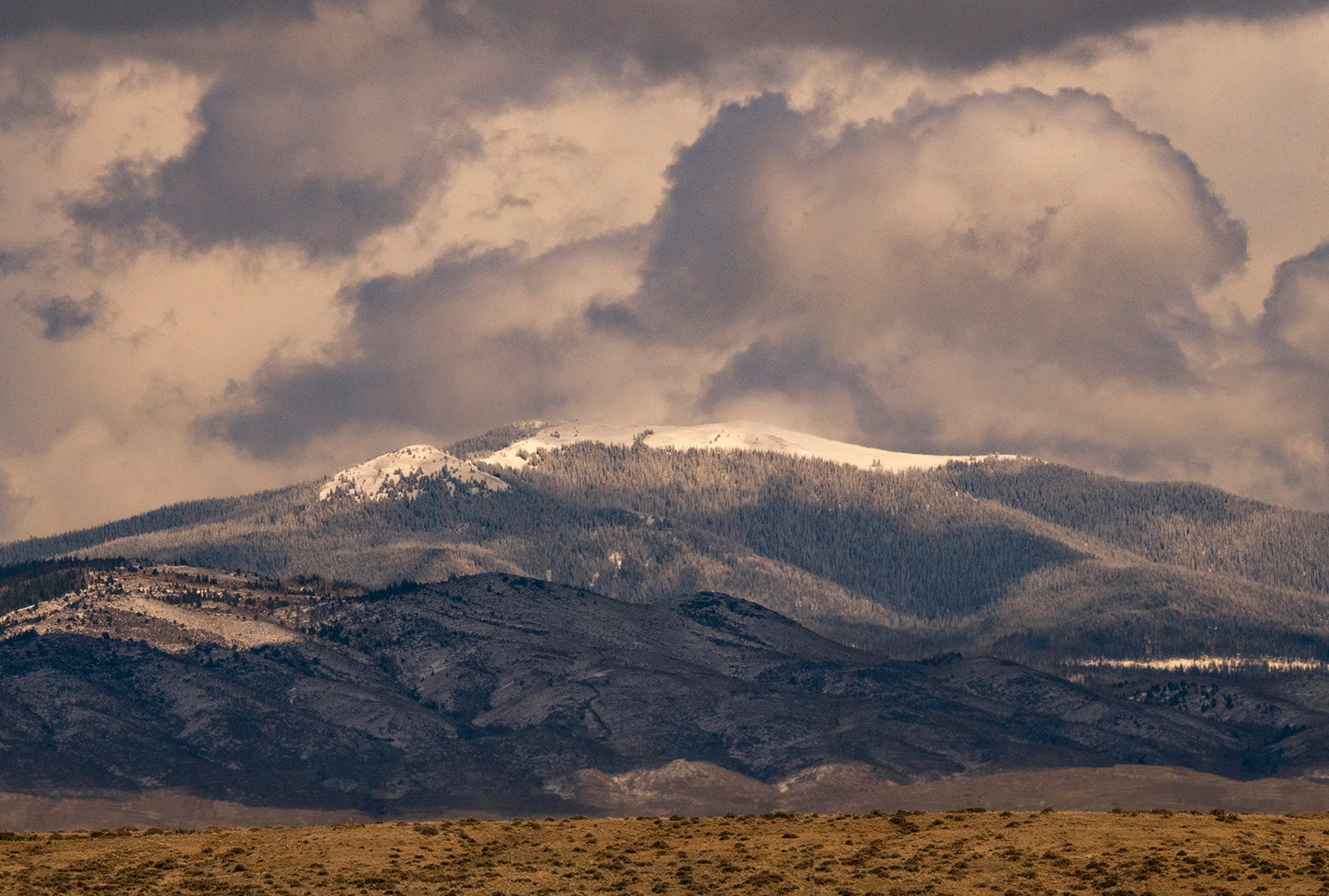 Post Card - " Spring Storm "
