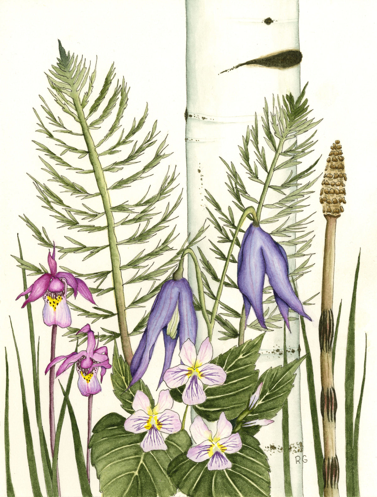 Watercolor Print- "Summer Begins on Pole Mountain"