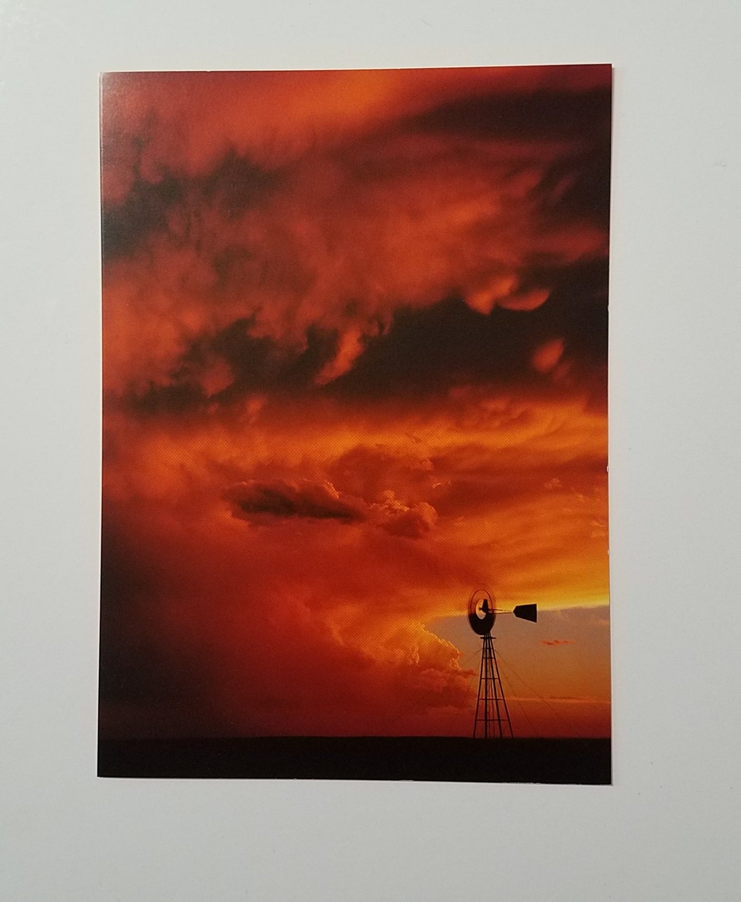 " Summer Fire " Greeting Card