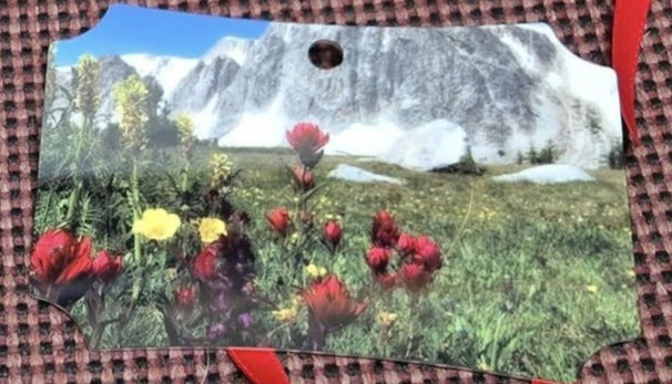 Ornament- "Summer In The Snowies"