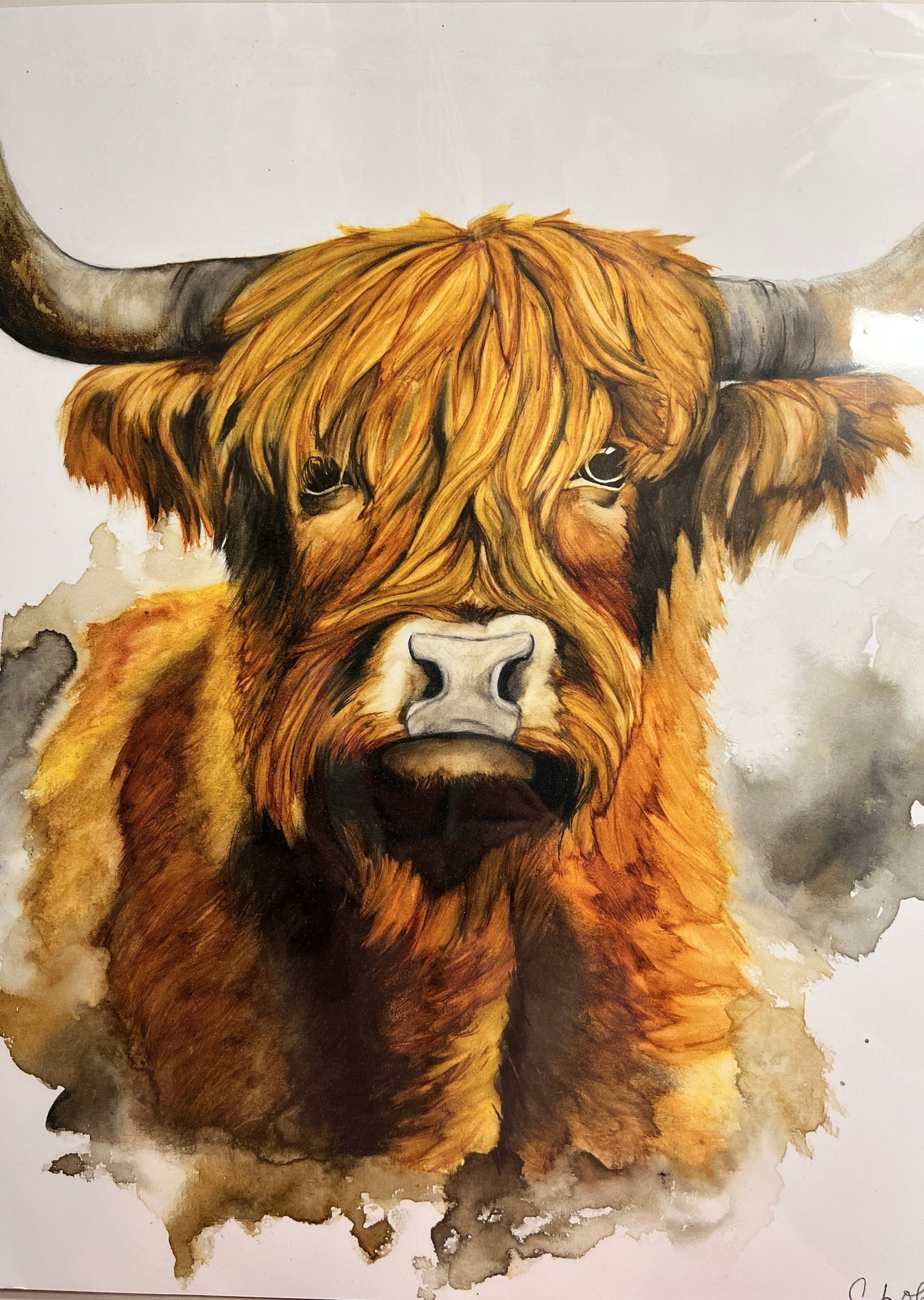 " Highlander " Watercolor Art