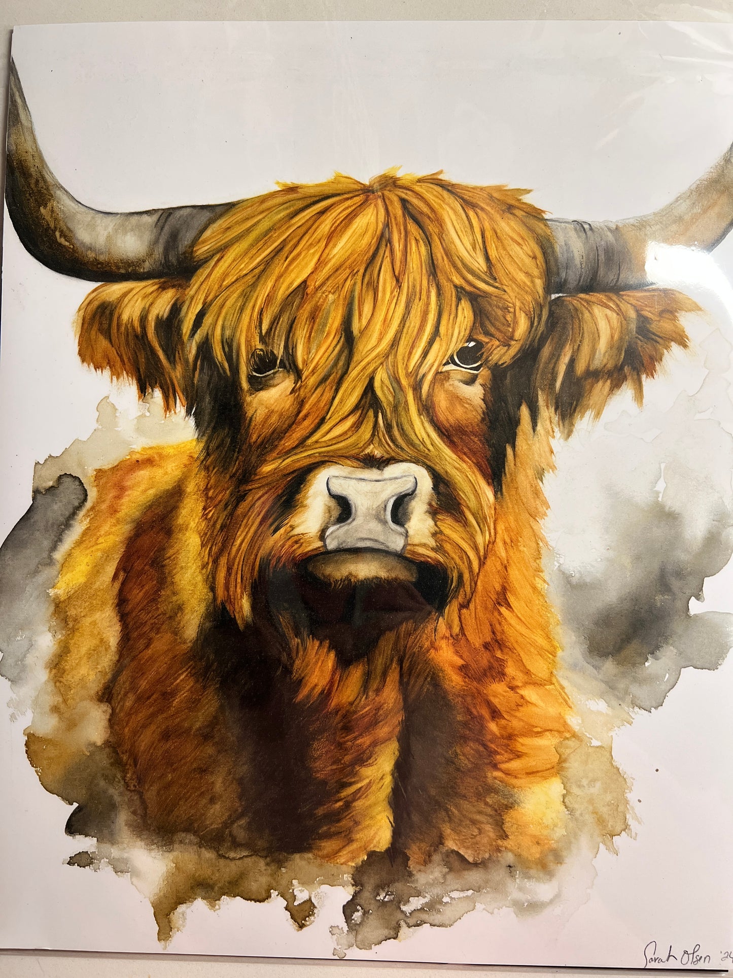 " Highlander " Watercolor Art