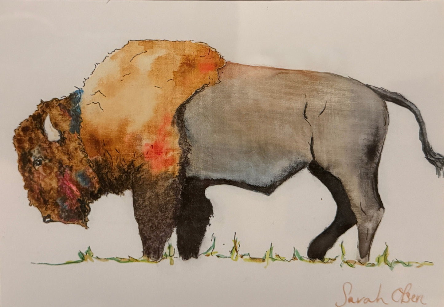 "A Bison Landscape " Watercolor Bison Art