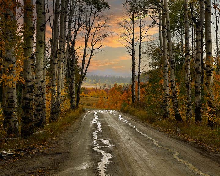 Photograph - " Tranquility " Aspen Alley