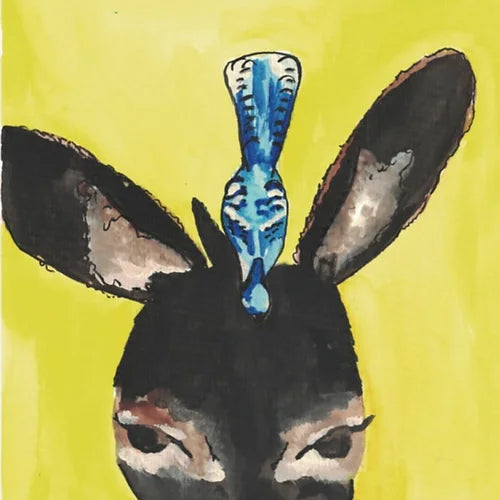 " The Donkey That Never Brayed " Children's Book