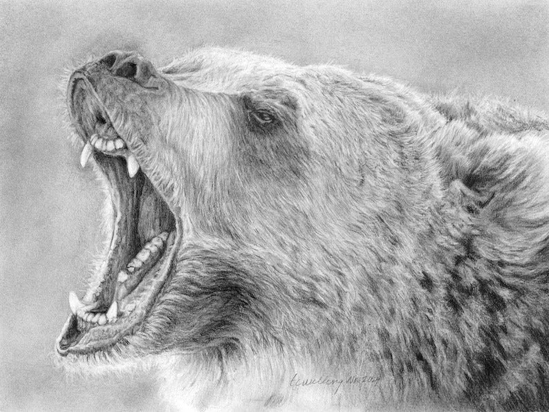 "The Colossal Roar" Graphite Pencil Print