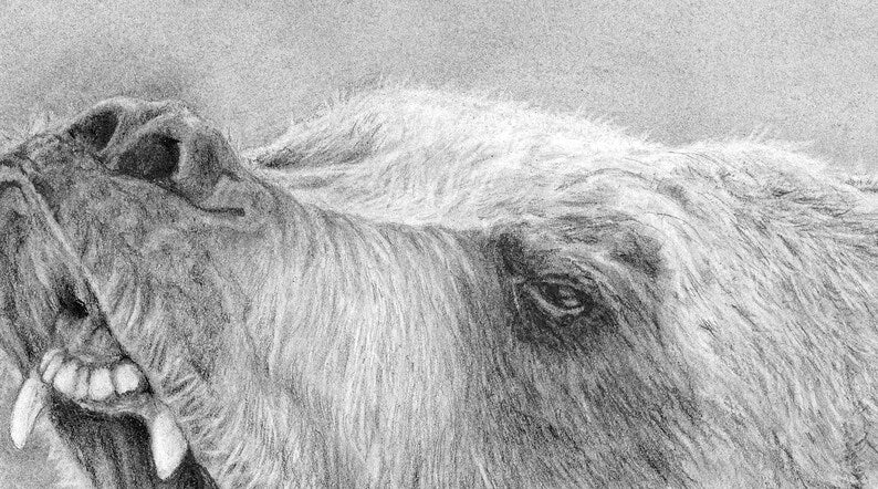 "The Colossal Roar" Graphite Pencil Print
