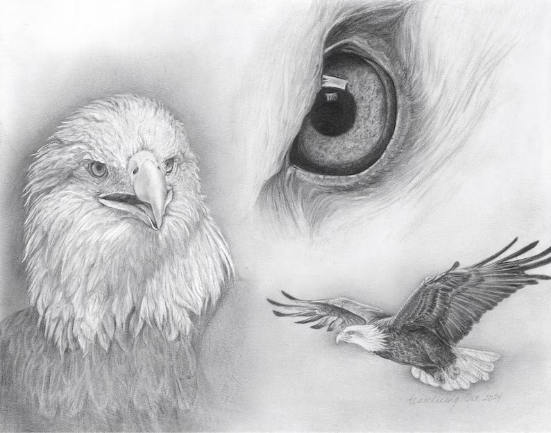 "Eagle Eye" Graphite Pencil Print